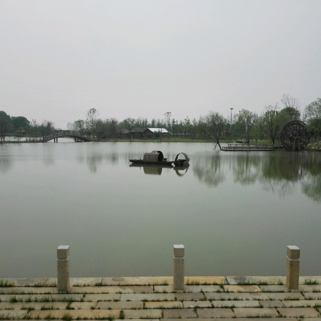 为歌痴狂(阿鸿福)