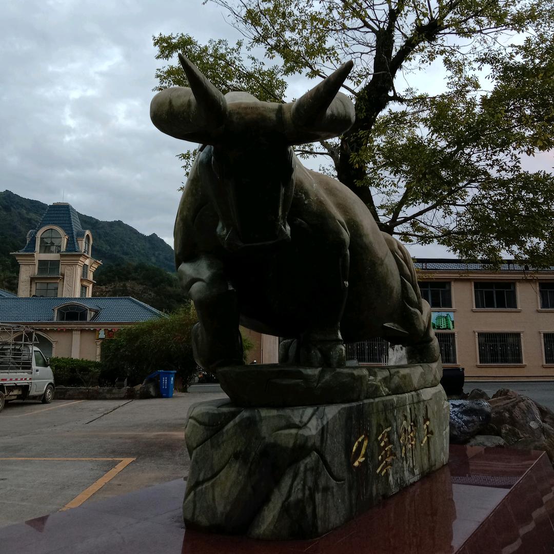 风过无痕，只有思念