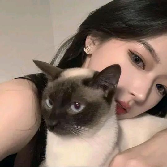 橘猫爱生活❄️