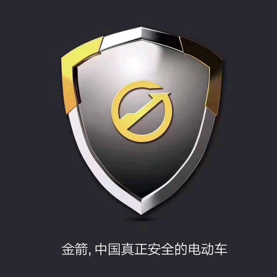 邳州炮车金箭电动车