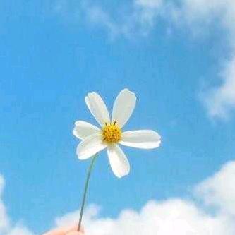 春夏秋冬