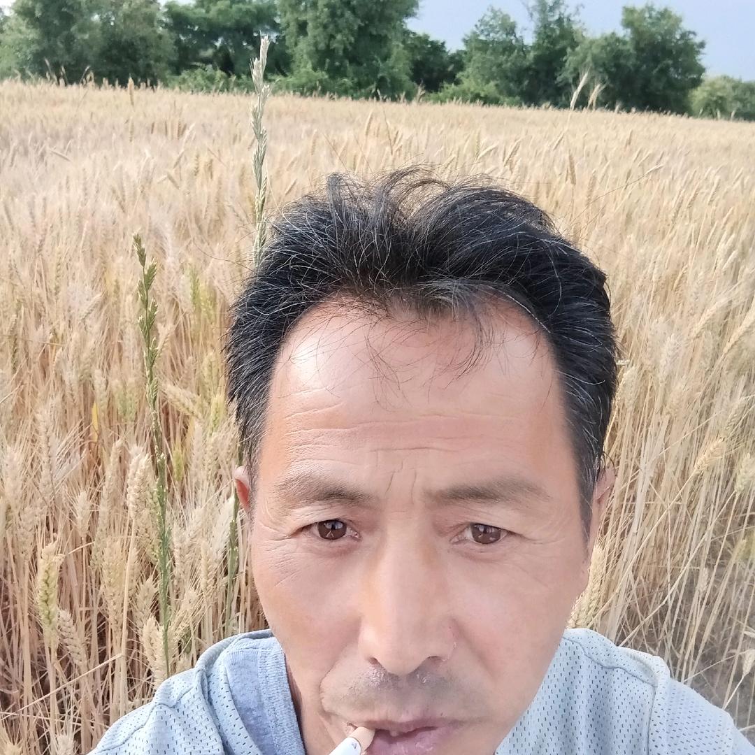 冯家村二队粮食加工