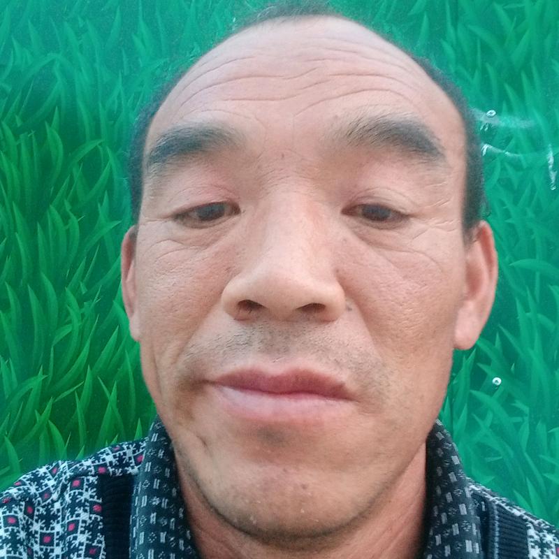 一心一意