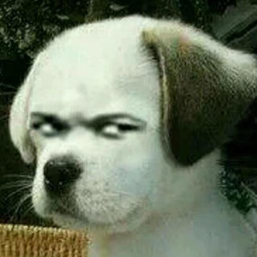 桀桀桀