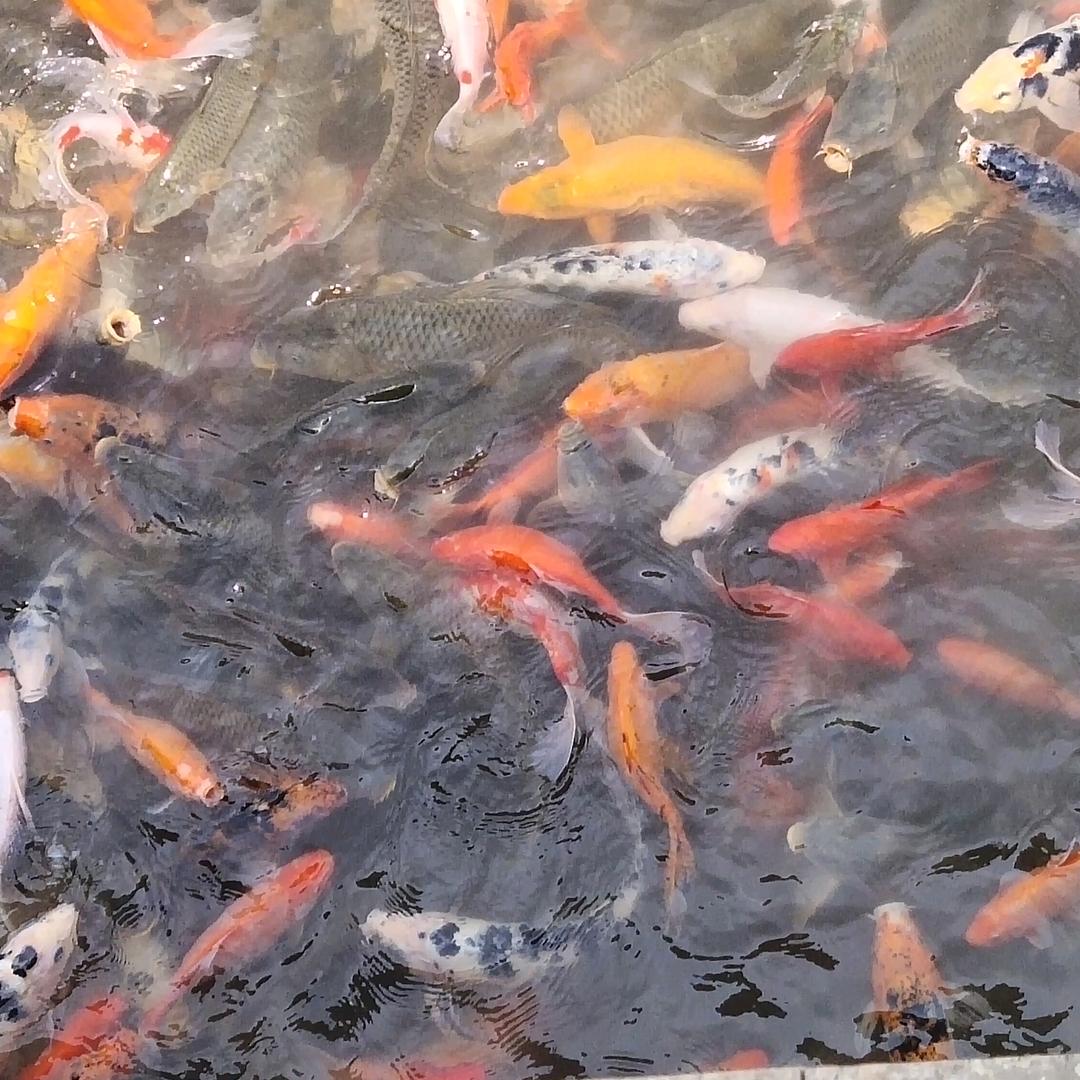 人生路漫漫240283964