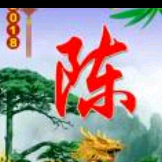 铿锵玫瑰