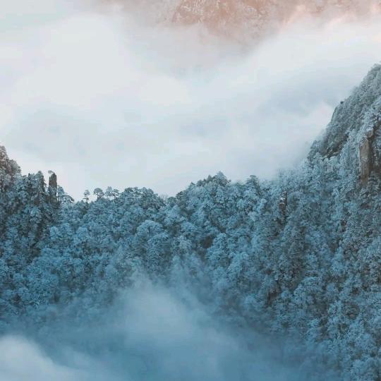 🤹🏻‍♀️盈婷🤹🏻‍♀️