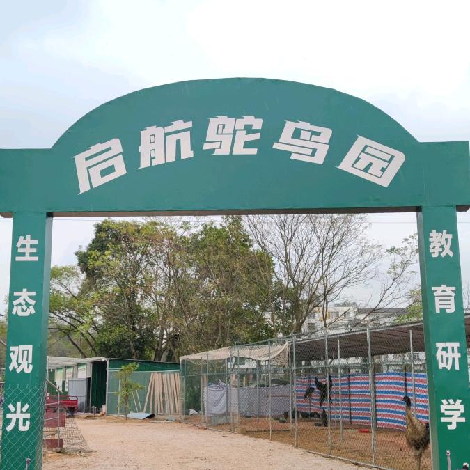 广西启航鸵鸟养殖场
