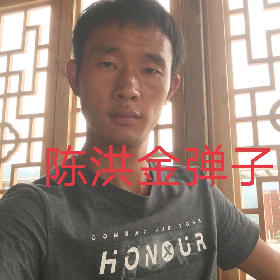 陈洪绿植