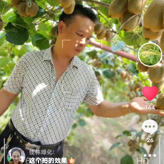 五星书记，猕猴桃哥