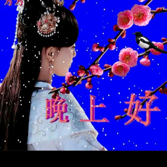 夏🌹天💐荷🌹花🌸开🌹