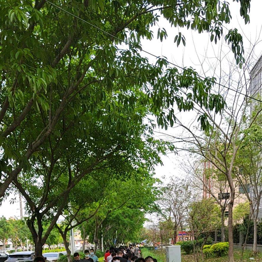 小余