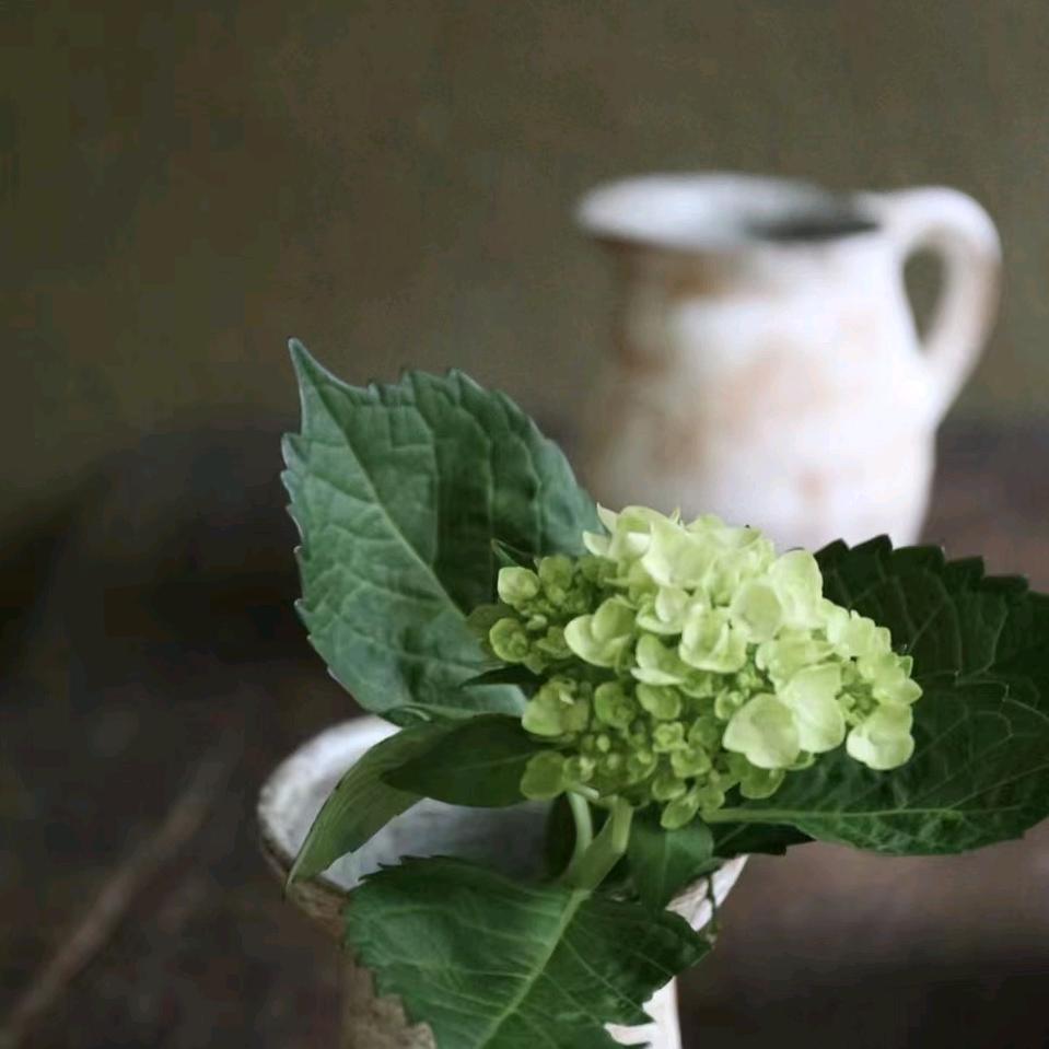 丽丽茶室