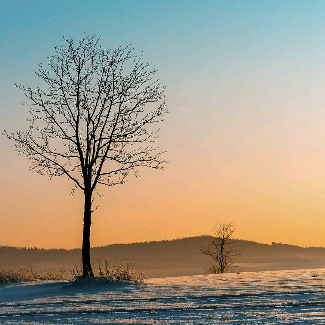 北京好运来汽车用品