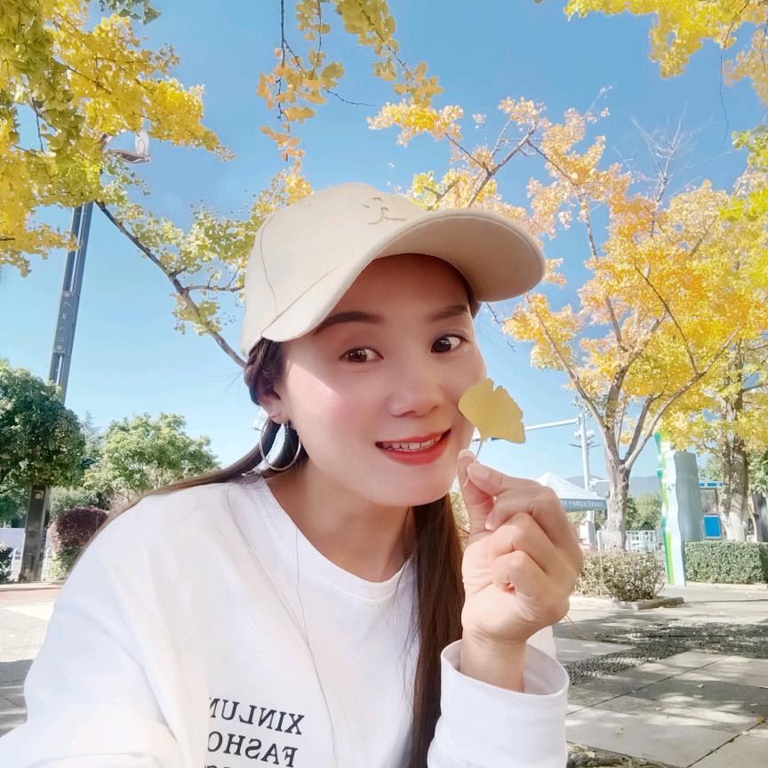 借风吻你