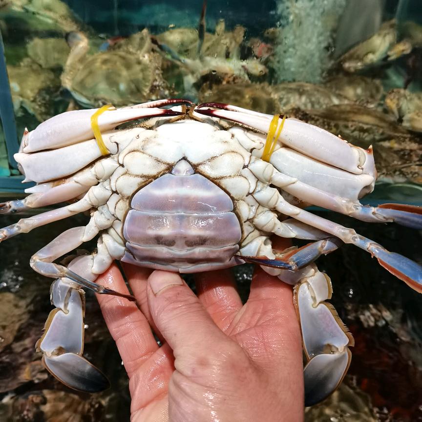 安丘富鑫海鲜