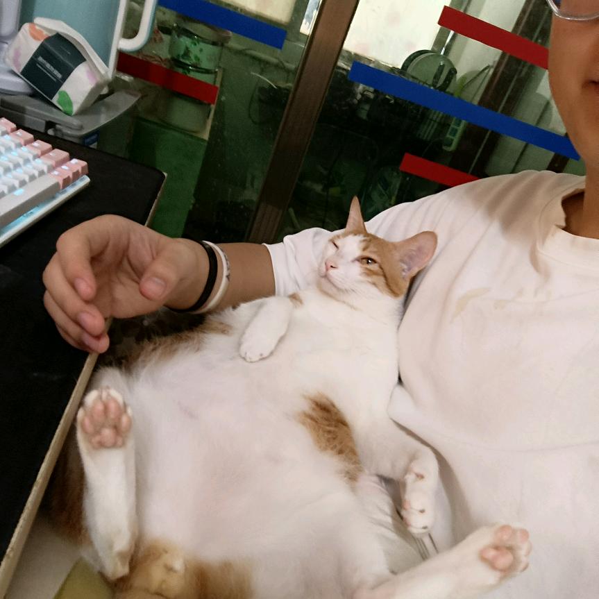 下一秒