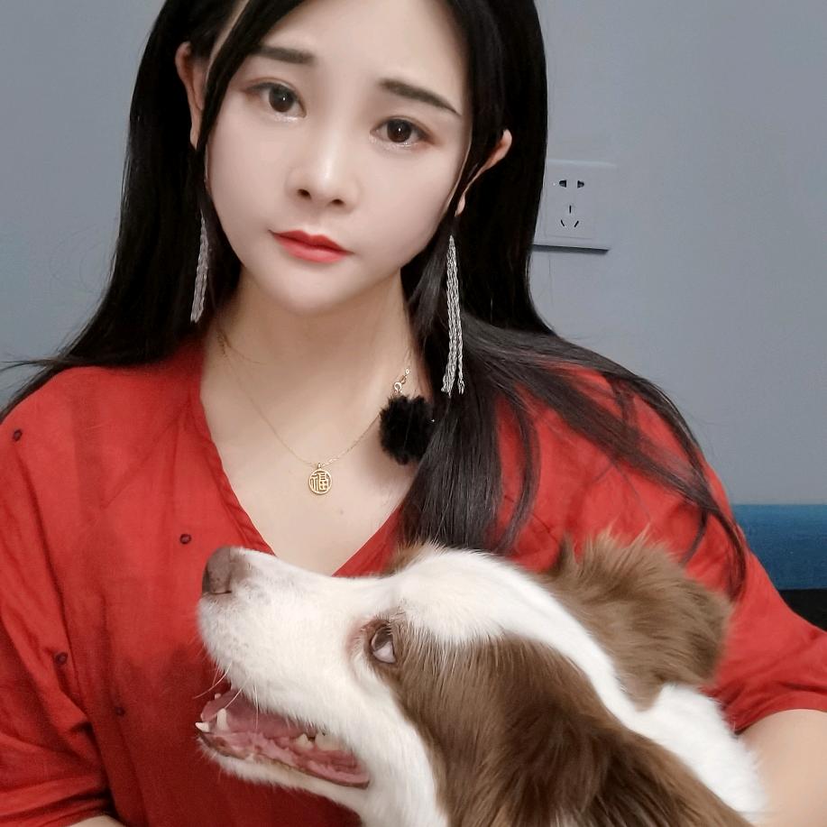 边牧萌萌