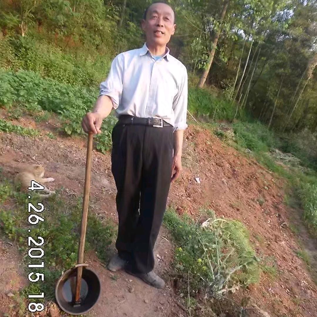 豪哥(十)