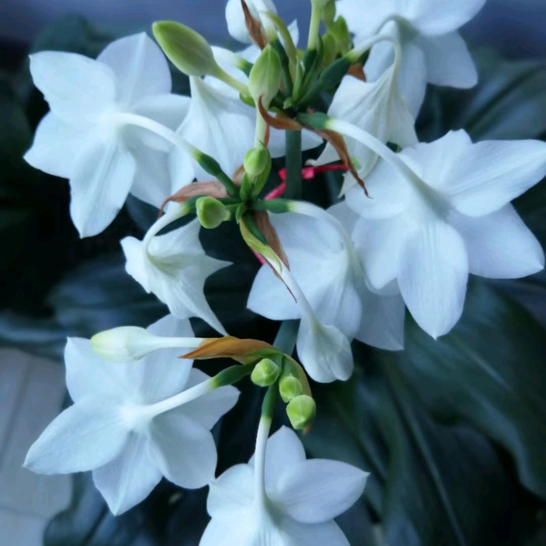 惊蛰(为烈士寻亲志愿者)