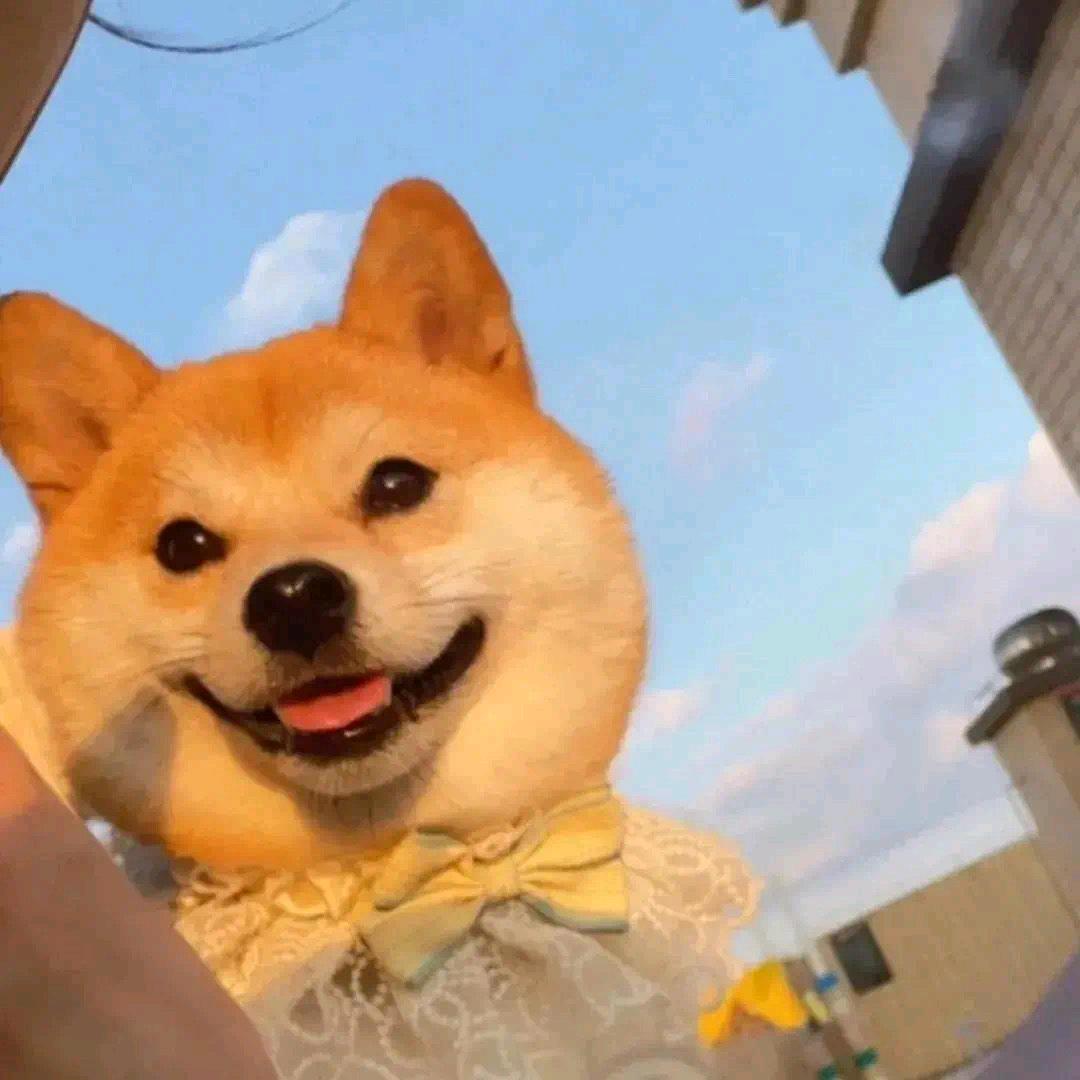 YHY
