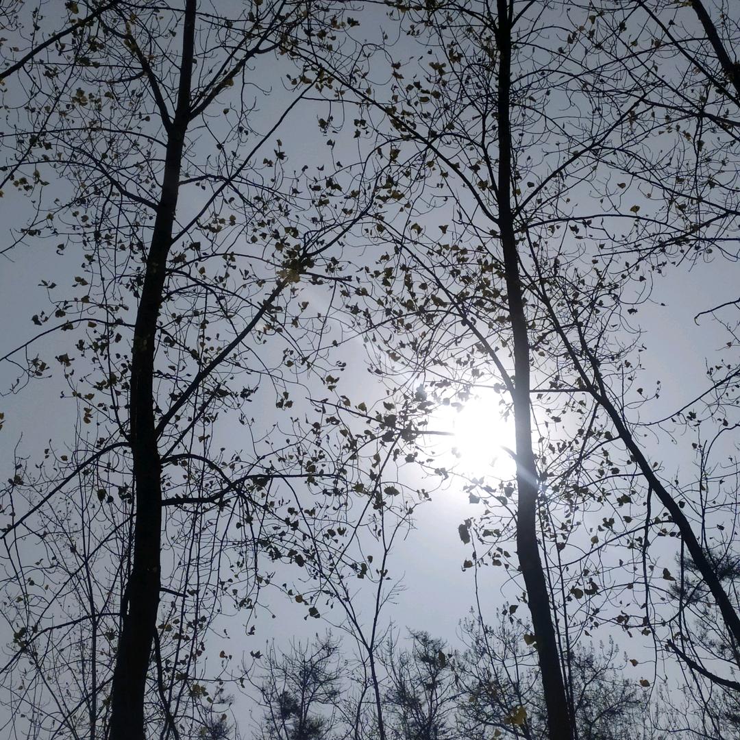 一帆风顺