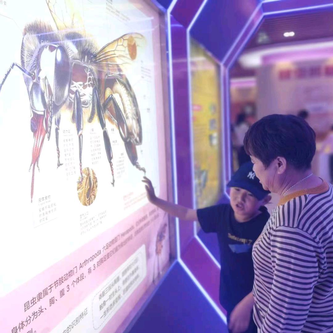 用户6286968412438