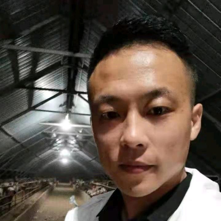 养羊技术指导-小龙