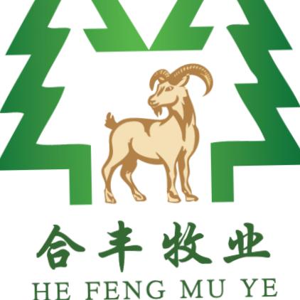 合丰牧业～～～孙雷鹏