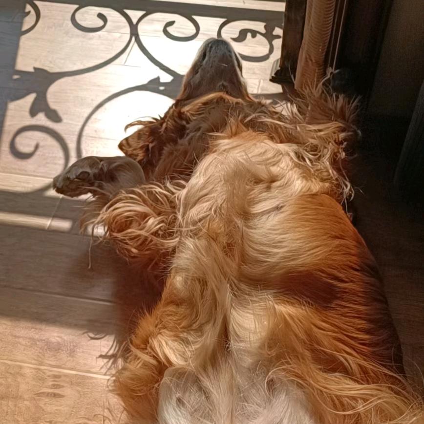 黄昏却下潇潇雨☔️