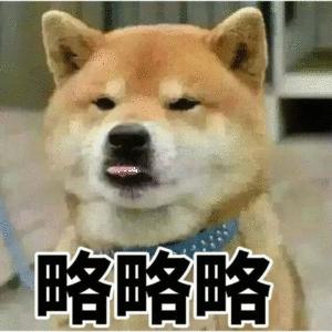 卤蛋崽崽