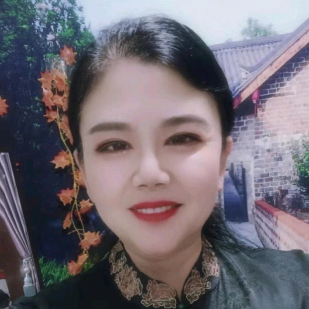 河南高姐