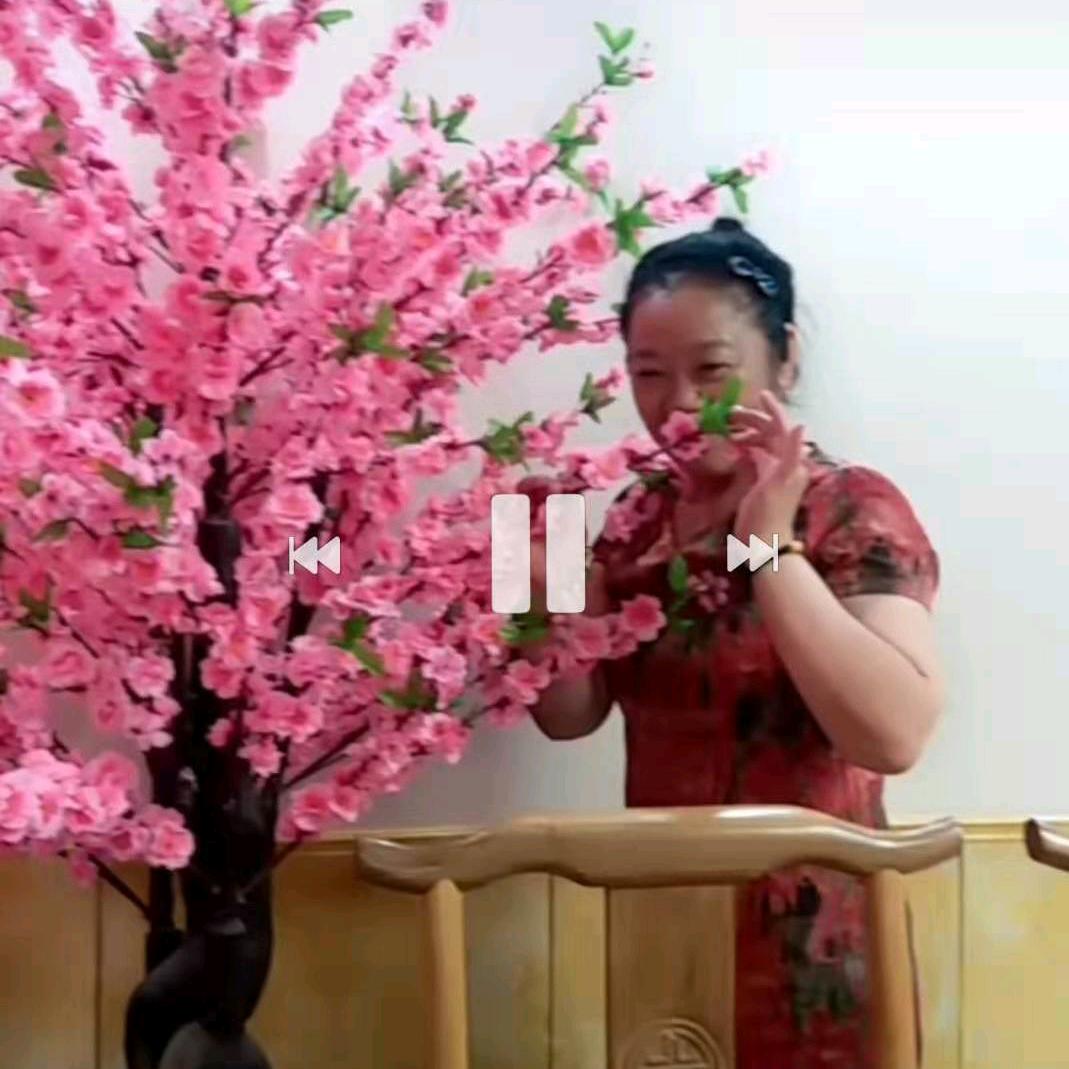 徐娟，古，月，