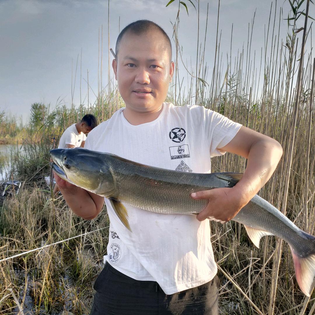 阿奎钓鱼🎣