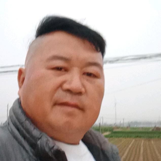逍遥婚姻介绍所