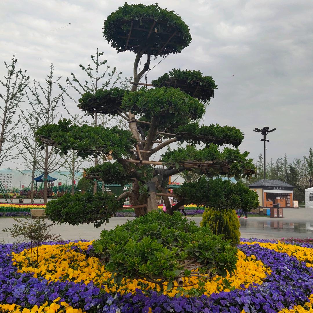 🌈🌈(,,Ծ‸Ծ,, )