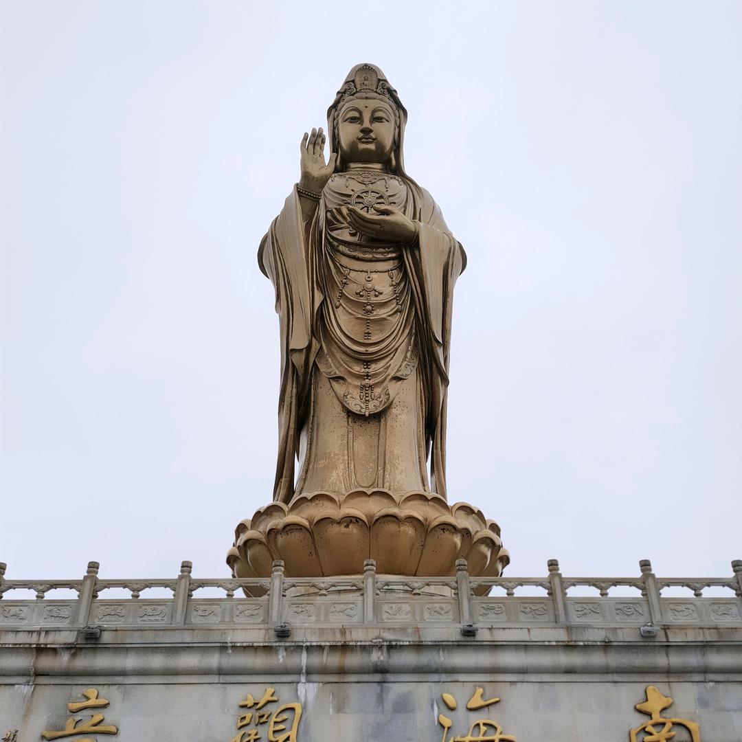 小顾