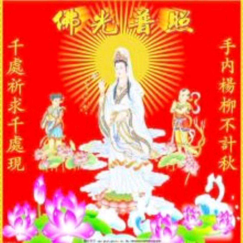 紫薇高照