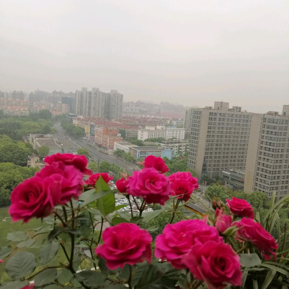彩霞姐