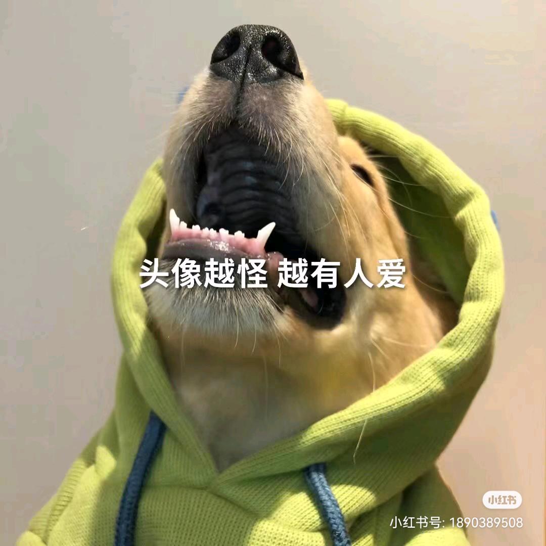 好物探店