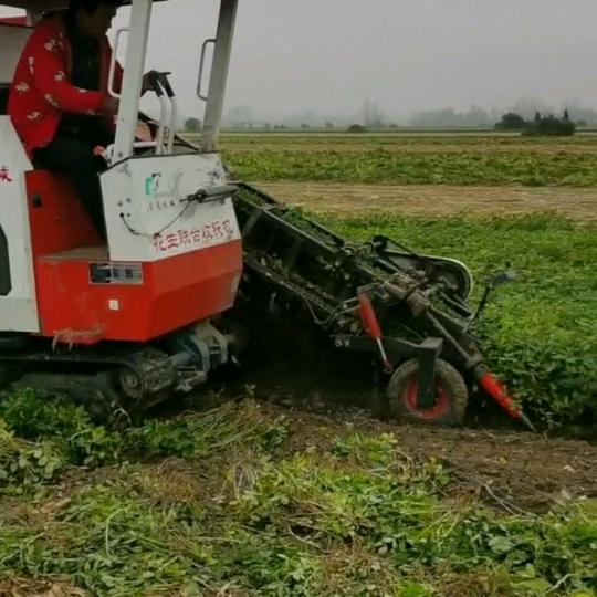 花生联合收割机