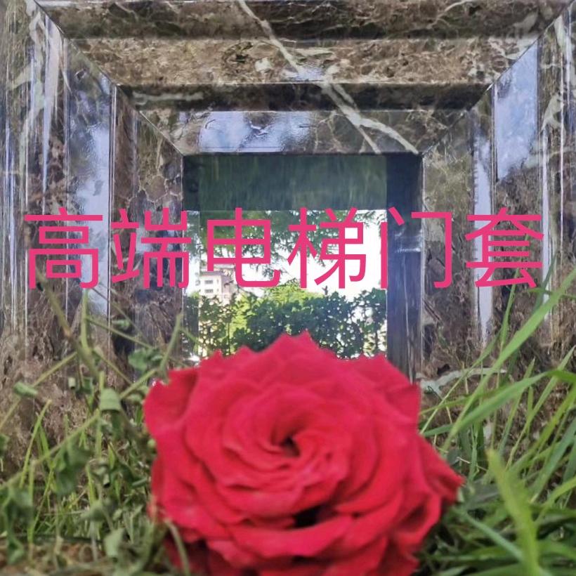 高端电梯门套 外置电梯厂家