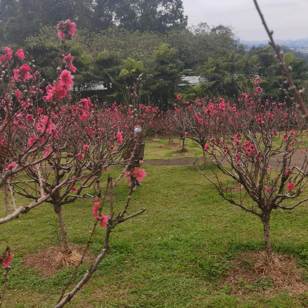 月儿护肤