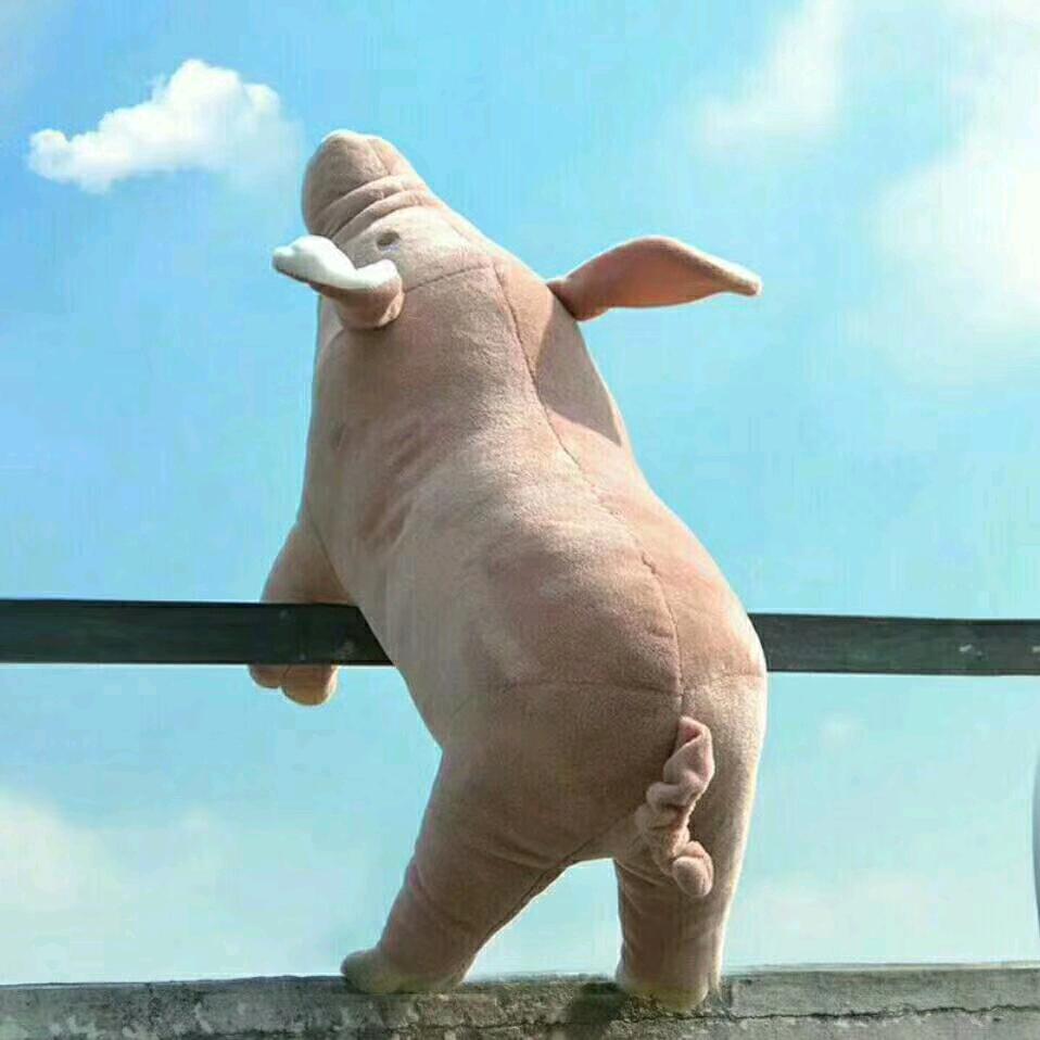 ο▬▬▬▬▬▬▬◙▅▅▆▆▇▇◤99米