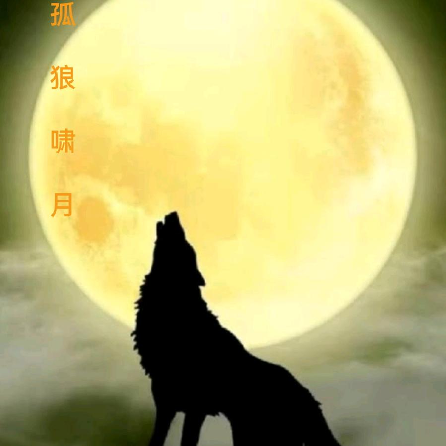 ✨孤✨狼✨
