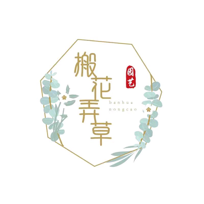 搬花弄草园艺