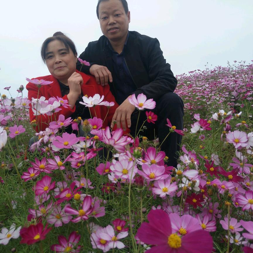 雅博（金醇源）