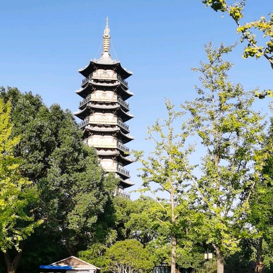 齐卫东