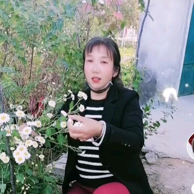 李翠莲