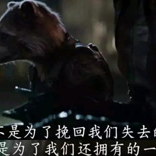 最笨的火星来客头像